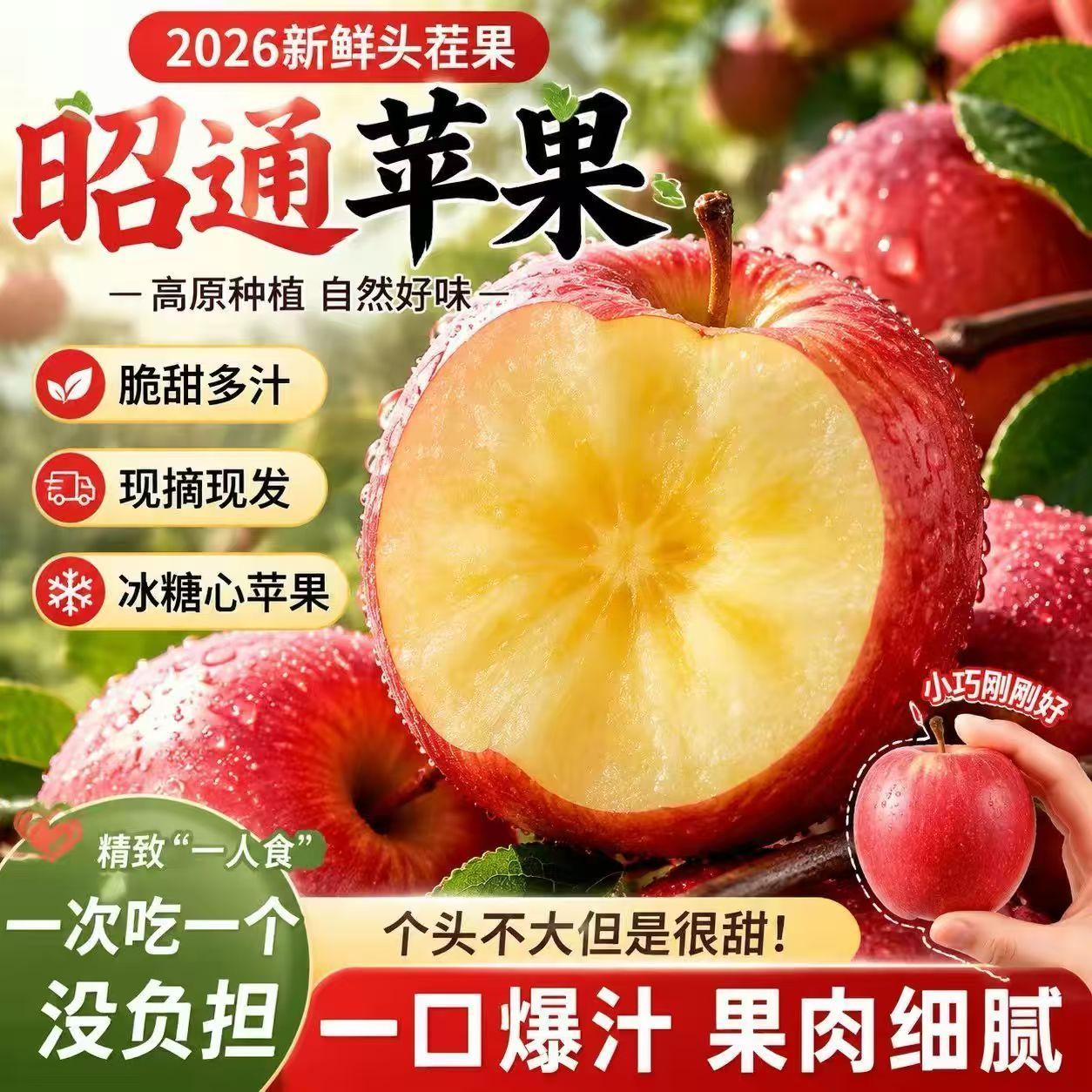 【彩箱带箱5斤】云南昭通丑苹果爆甜新鲜丑苹果当季脆甜批发直发