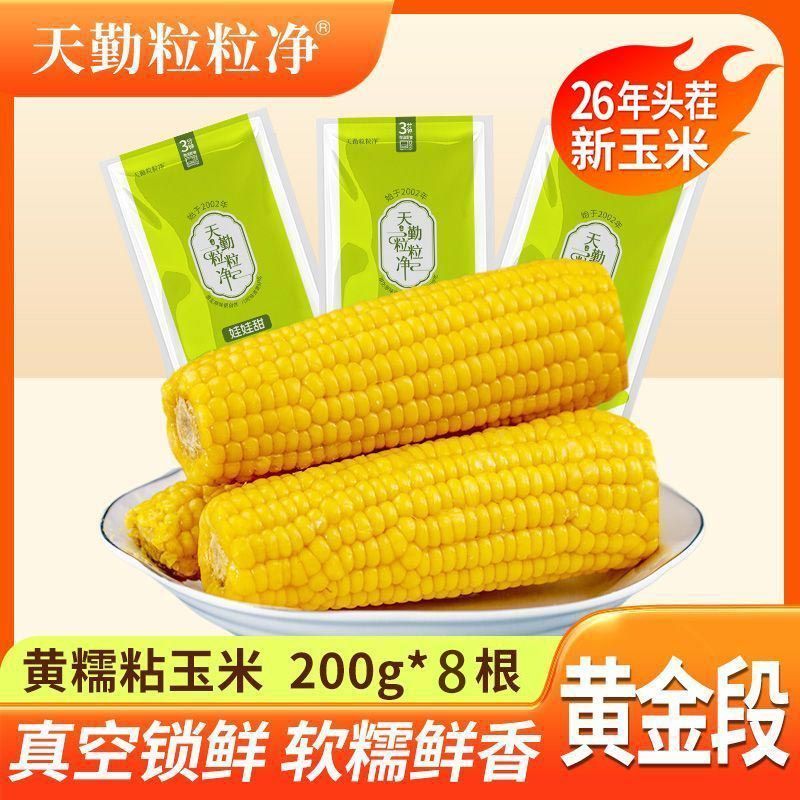 【天勤粒粒净】黄糯玉米200g*8根有机粗粮26年新采低脂粘黏玉米真空装