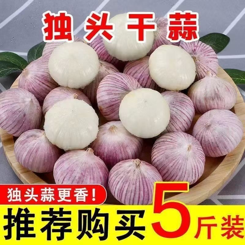 【新蒜干蒜】2026年紫皮独头蒜当季批发特价大蒜紫皮蒜大蒜头包邮