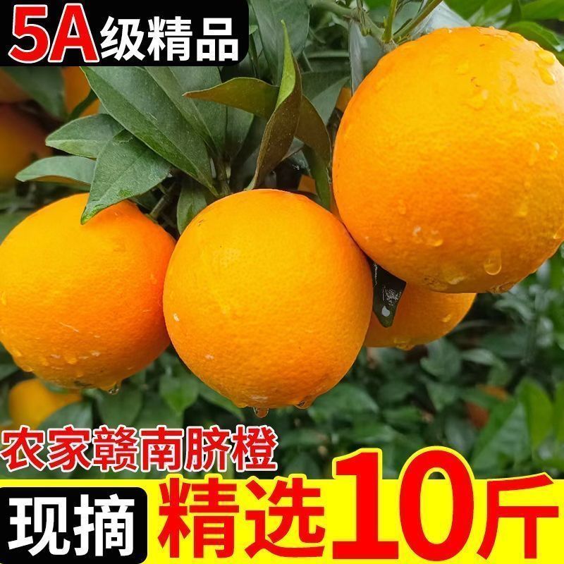 爆款正宗赣南脐橙新鲜水果榨汁爆甜橙子当季甜橙大果整箱薄皮多汁