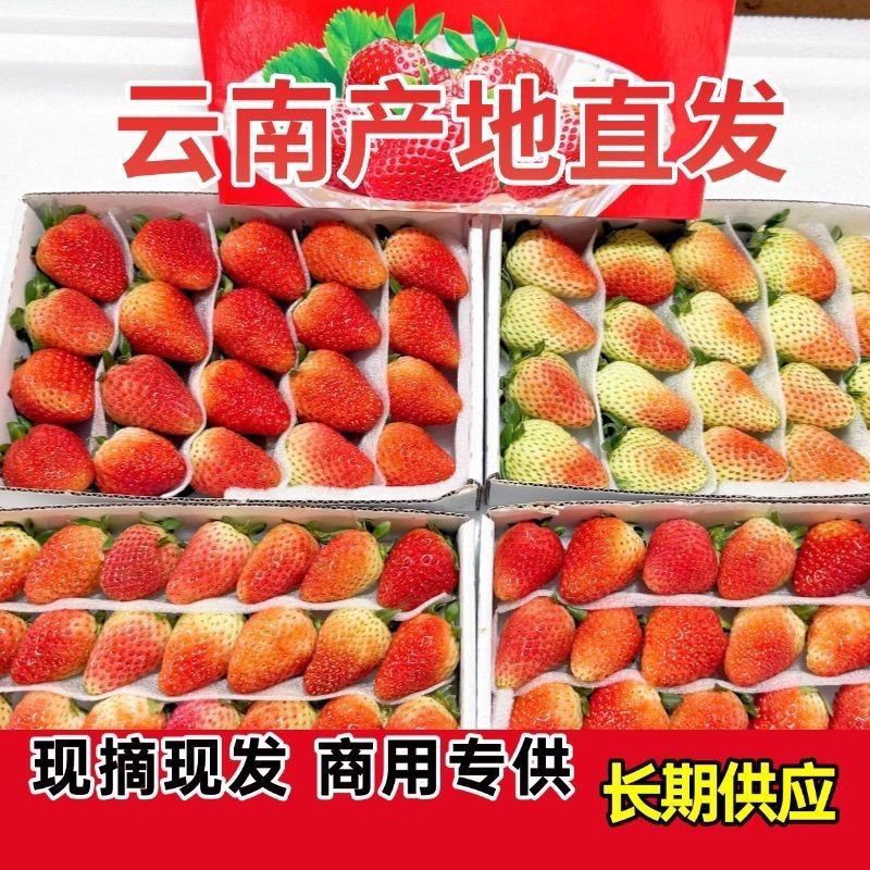 【盒装】四季双流草莓商用新鲜盒装蛋糕茶饮酸鲜草莓烘焙冰糖葫芦