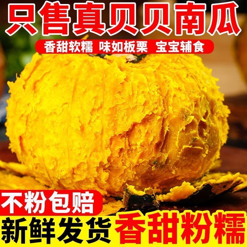 【新贝贝上市】正宗真贝贝南瓜板栗味粉糯老南瓜批发孕妇宝宝辅食