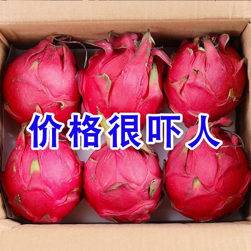 产地直发】红心火龙果新鲜现摘超甜红肉正宗金都一号应季水果批发