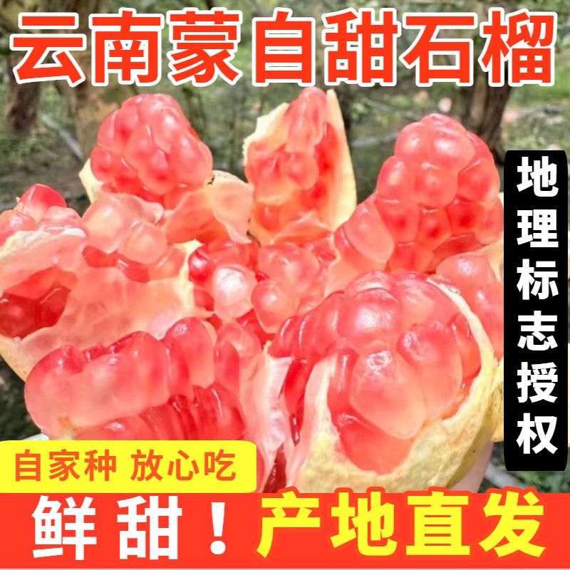 【地标授权】榴汁乡5斤云南蒙自甜石榴孕妇水果正宗硬籽水晶石榴
