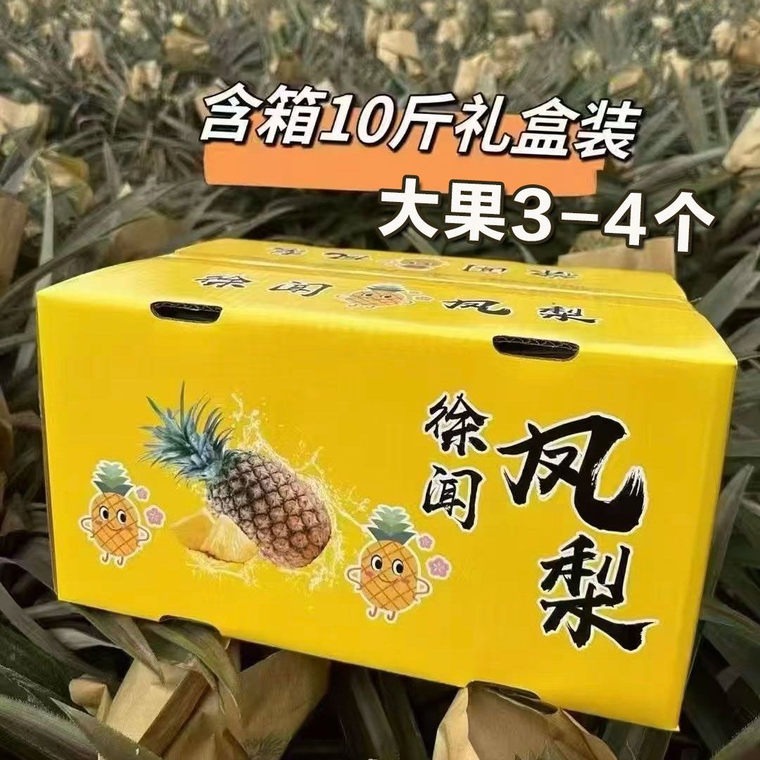 广东徐闻凤梨台农22号西瓜凤梨新鲜水果大果产地直发