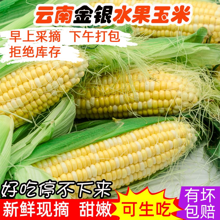 四季新鲜云南双色金银水果玉米新鲜蔬菜当季带皮带壳带须甜嫩玉米