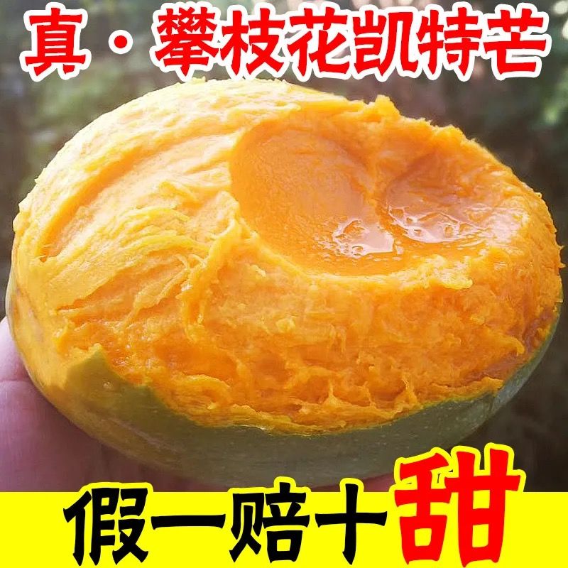 四川攀枝花凯特芒果大青芒孕妇水果新鲜现摘批发价2/5/10斤装整箱