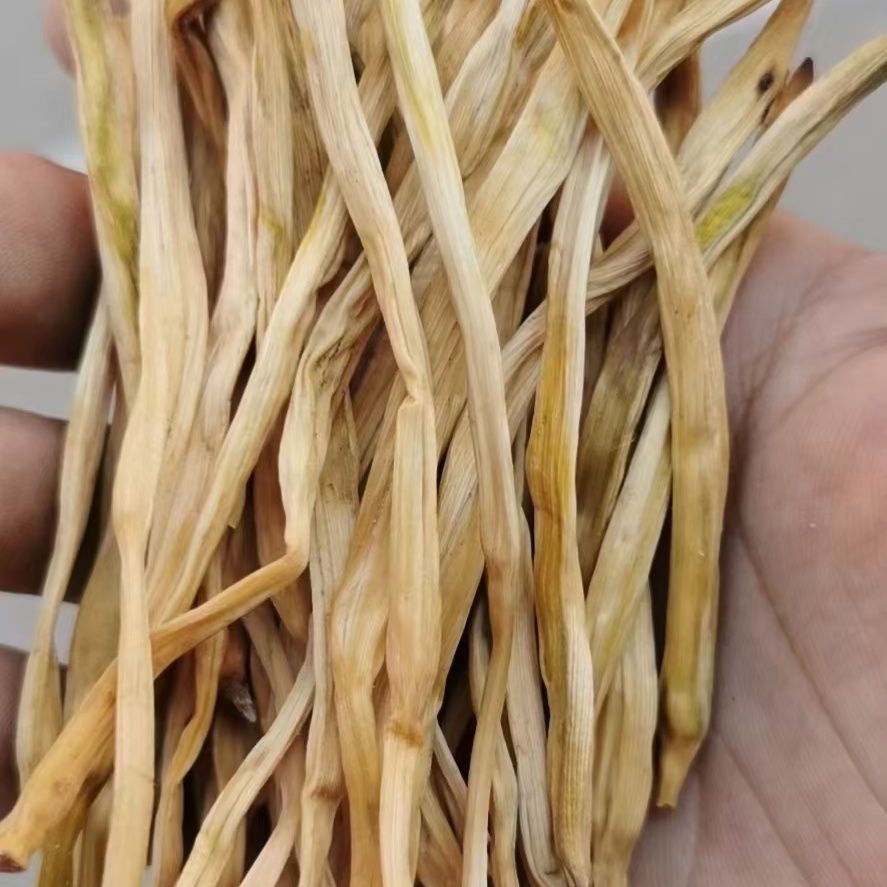 优质直条黄花菜,自然风干凉晒,高端之选,:陕西大荔