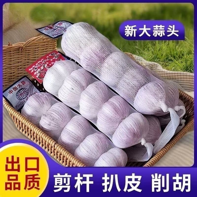 2026年邳州大蒜头网兜紫白皮干蒜批发蒜特级干蒜正宗出口级大蒜