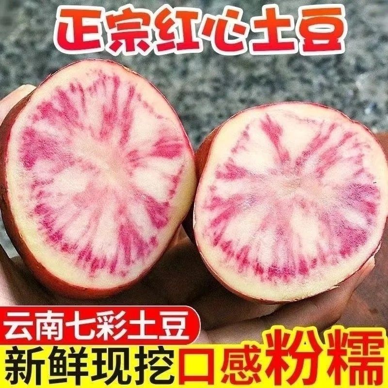 七彩土豆云南乌洋芋大果丽江花心马铃薯红皮当季特产新鲜蔬菜现挖
