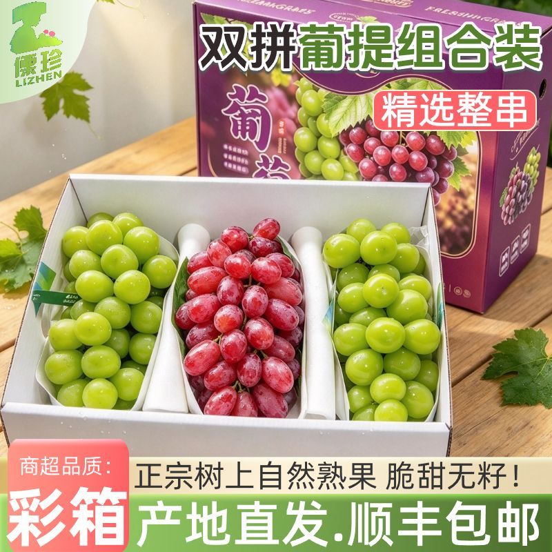 顺丰 克伦生阳光玫瑰双拼葡萄新鲜应季水果3/4斤产地直发脆甜无籽