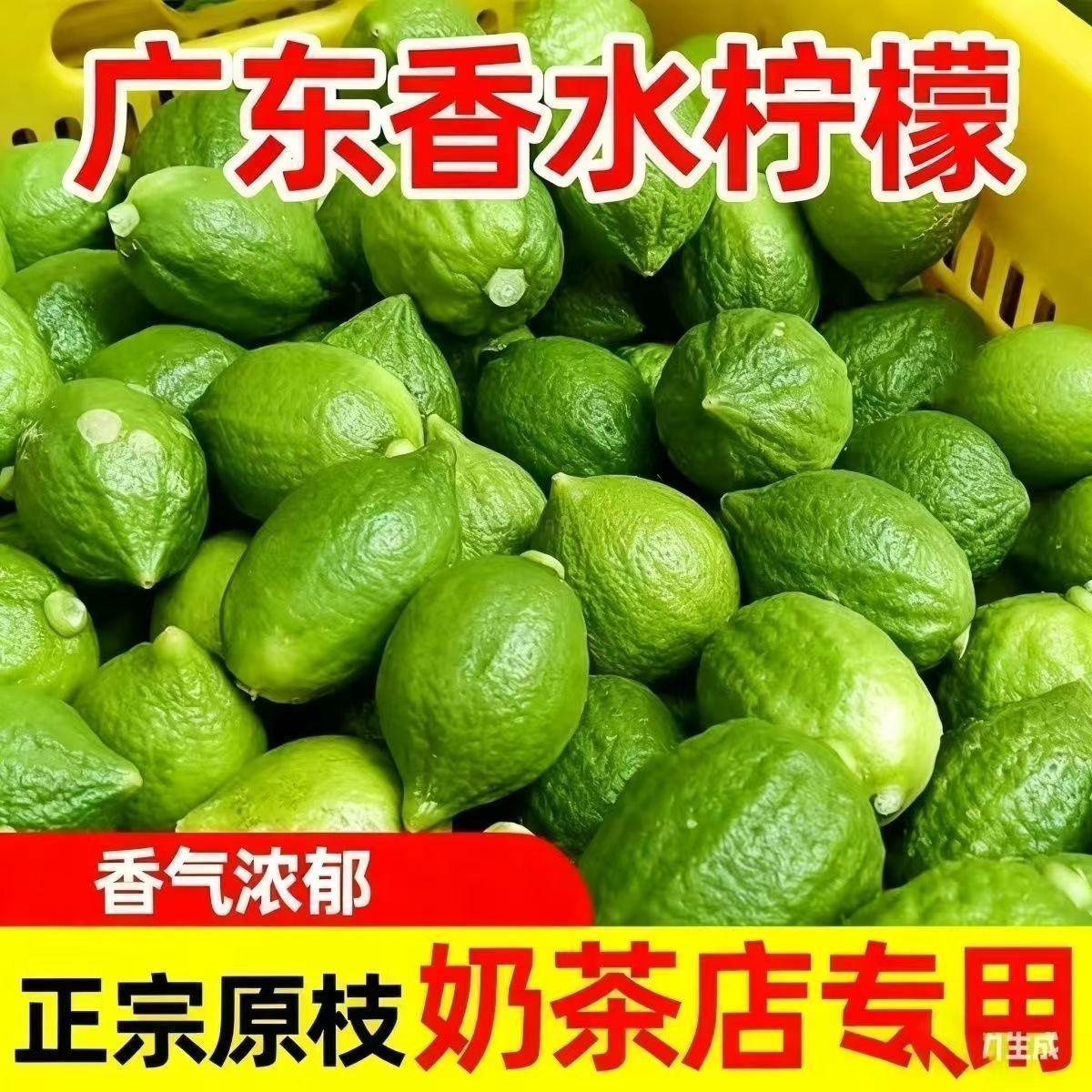 新鲜爆香柠檬广东香水无籽水果柠檬茶手打商用奶茶正宗批发专用