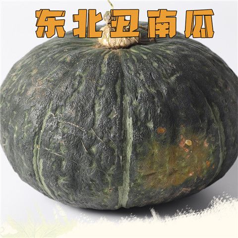东北谢花面窝瓜南瓜绿皮当季农家种植新鲜蔬菜辅食非贝贝甜糯面