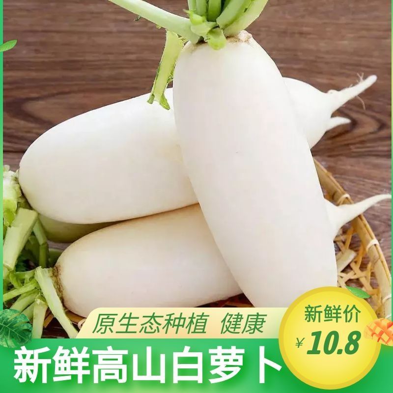 打霜新鲜萝卜白萝卜现挖现发泡菜用萝卜新鲜农家脆甜生吃当季火锅