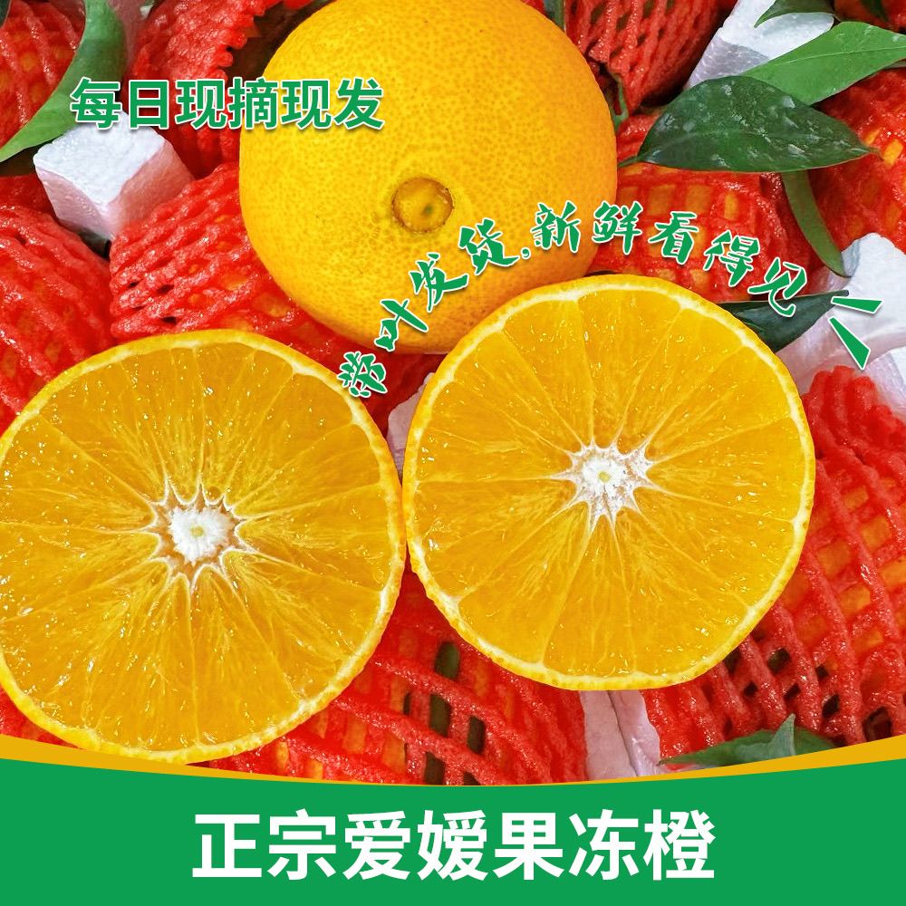 四川爱媛果冻橙子新鲜水果非耙耙柑桔子2/5/8斤包邮