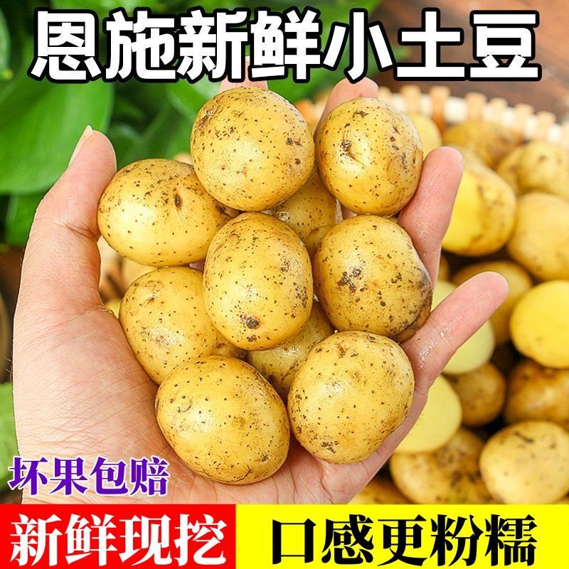 恩施小土豆鲜挖精品新鲜黄皮黄心洋芋农家自种马铃薯蔬菜粉糯香甜