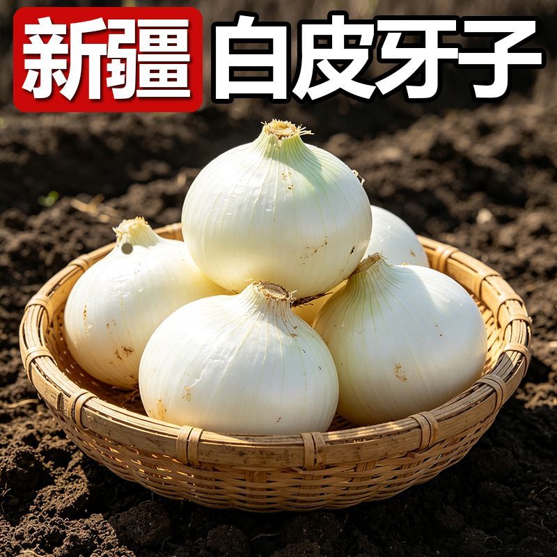 新疆白洋葱新鲜正宗新疆皮牙子凉拌生吃不辣洋葱当季产地直发批发