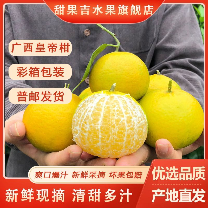 【彩箱】广西正宗皇帝柑橘子水果新鲜当季贡柑整箱4.8斤/8.8斤【10月28日发完】