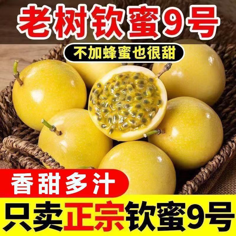 正宗钦蜜黄金百香果新鲜正宗黄色水果应季当季孕妇大果批发