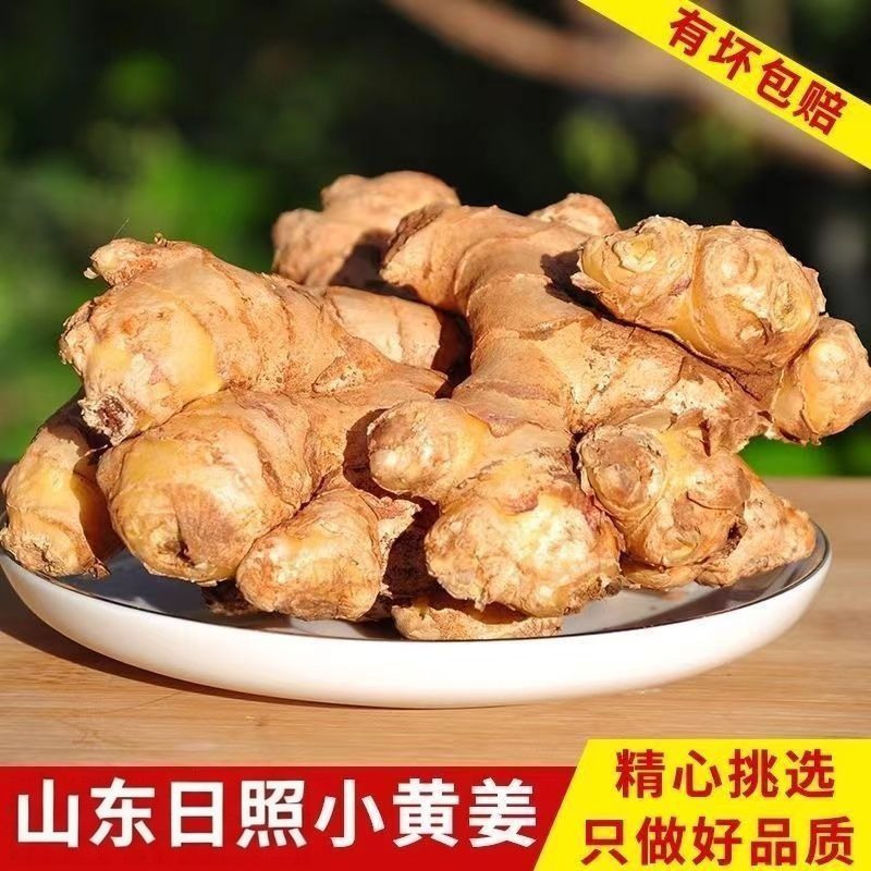 【火锅食材】山东小黄姜生姜批发老姜新鲜嫩姜子姜土姜干姜现挖法