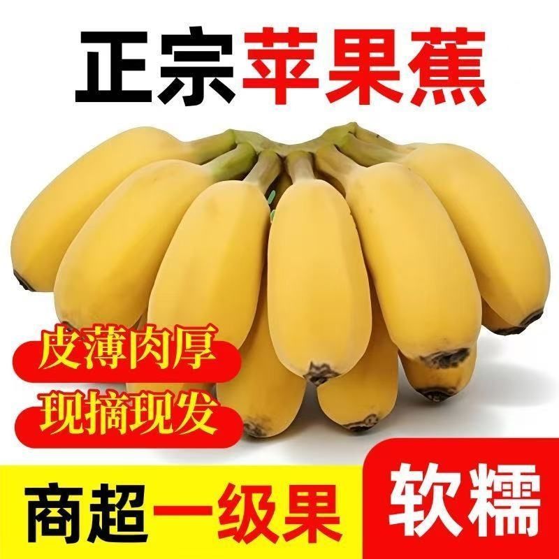 【发中大果】正宗苹果粉蕉当季新鲜水果孕妇香蕉广西粉蕉整箱批发