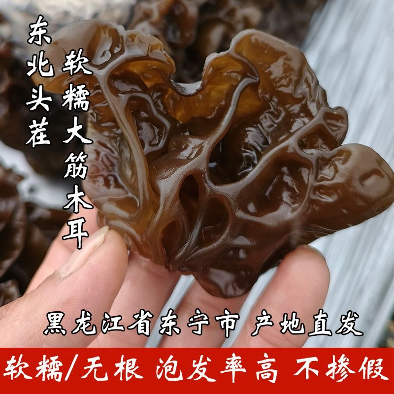黑龙江正宗东宁大筋黑木耳非小碗耳软糯滑嫩仿野生产地直发木耳