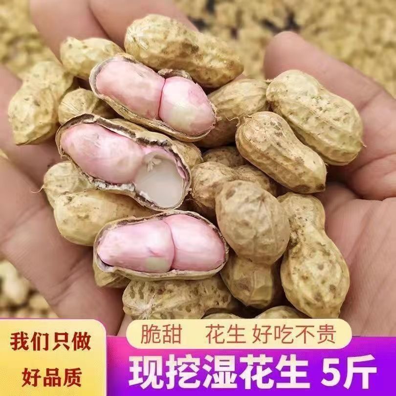 【已售万斤】现挖现发带壳鲜花生红皮粉皮大粒饱满