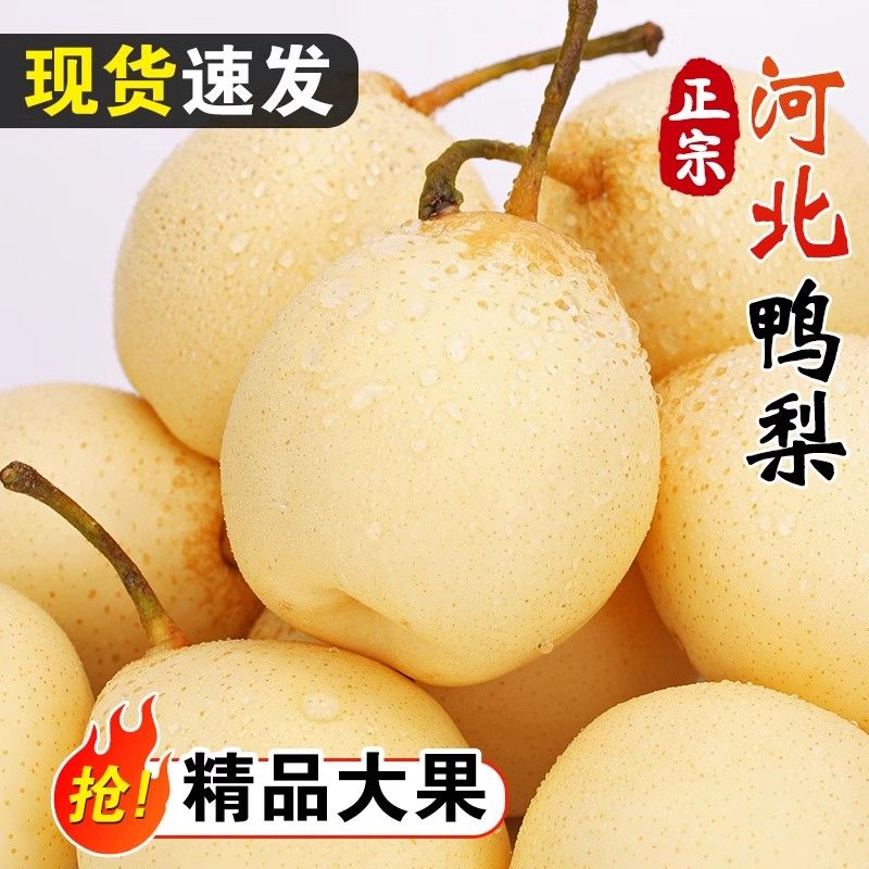 河北鸭梨大鸭梨水晶梨带箱10斤薄皮大鸭梨5斤3斤大果新鲜水果梨子