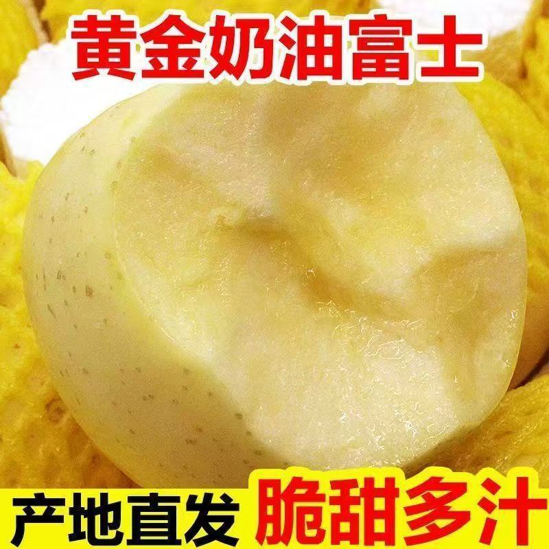奶油正宗富士陕西黄金苹果当季脆甜新鲜水果应季冰糖整箱心脆批发