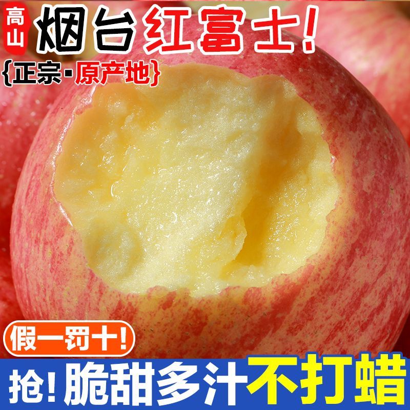 山东烟台正宗栖霞红富士苹果新鲜水果非冰糖心批发