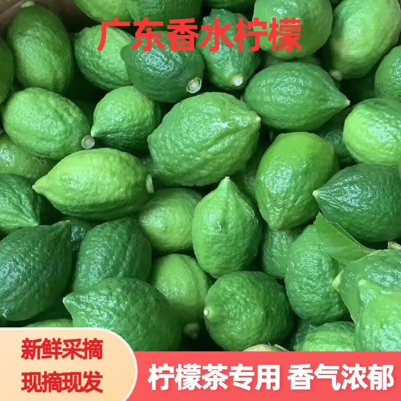 广东香水柠檬爆香二级果新鲜浓香型奶茶烧烤商用款直发无籽鲜果