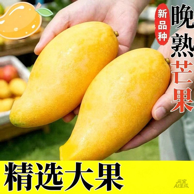 云南晚熟芒果正宗当季水果金煌芒水仙应季整箱新鲜热带薄皮批发