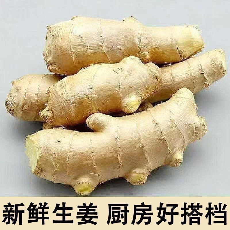 特级 正宗山东大姜单指风干姜生姜无泥生姜老姜月子姜新鲜黄姜
