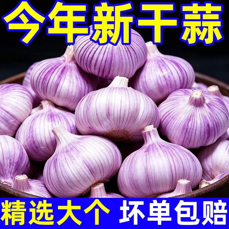 新干干蒜金乡山东蒜头紫白皮大蒜头新干便宜优质批发新鲜整箱特大