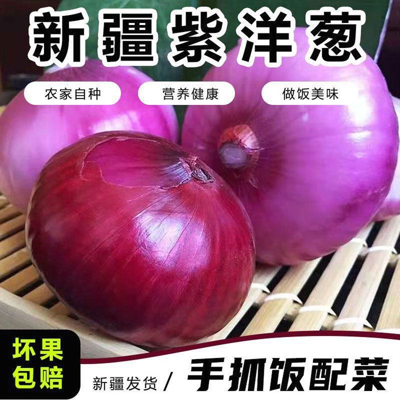 新疆紫皮洋葱新鲜皮牙子缸子肉手抓饭配菜圆葱蔬菜批发红皮紫洋葱