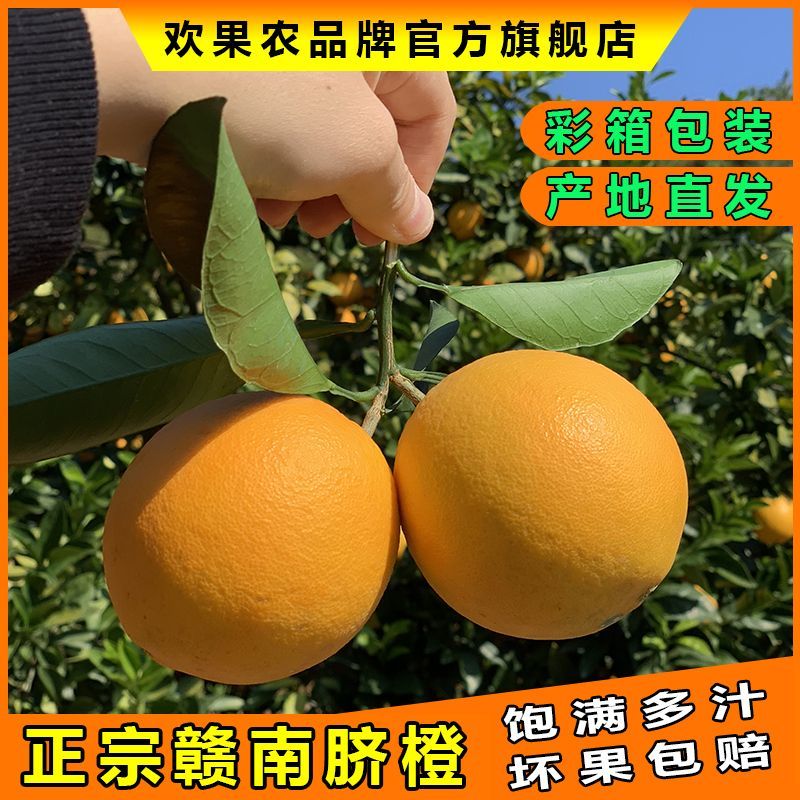 江西正宗赣南脐橙5斤装寻乌早橙子精品甜新鲜水果产地直发