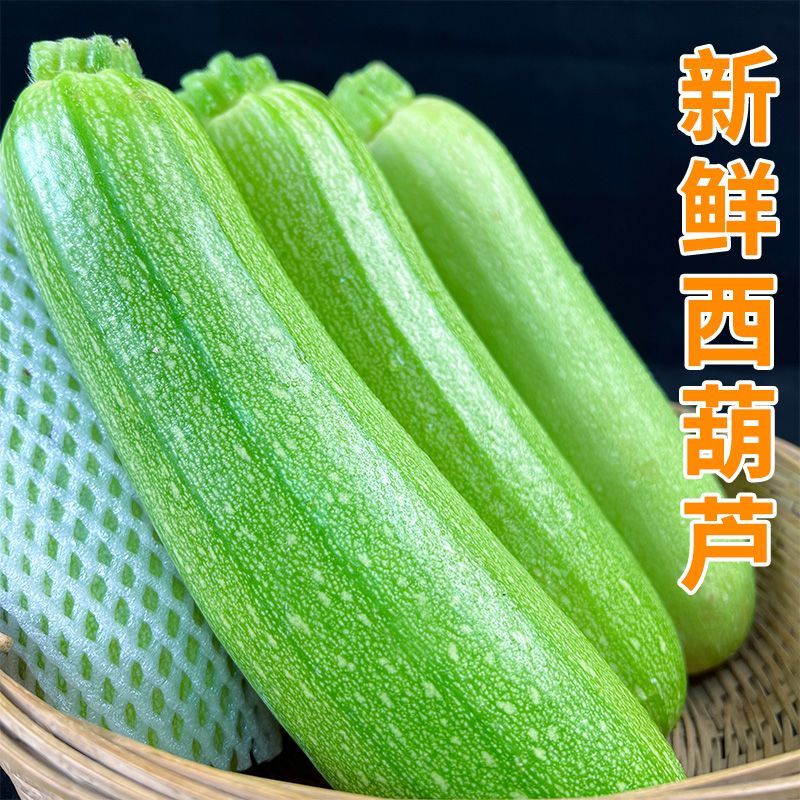 新鲜云南产地西葫芦小瓜瓜农家当茭瓜应季蔬菜自种角瓜现番瓜直发