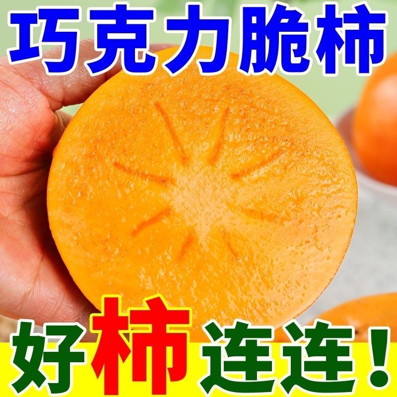 山西正宗阳丰脆冰糖巧克力脆柿柿子新鲜无核水果应季心脆批发整箱