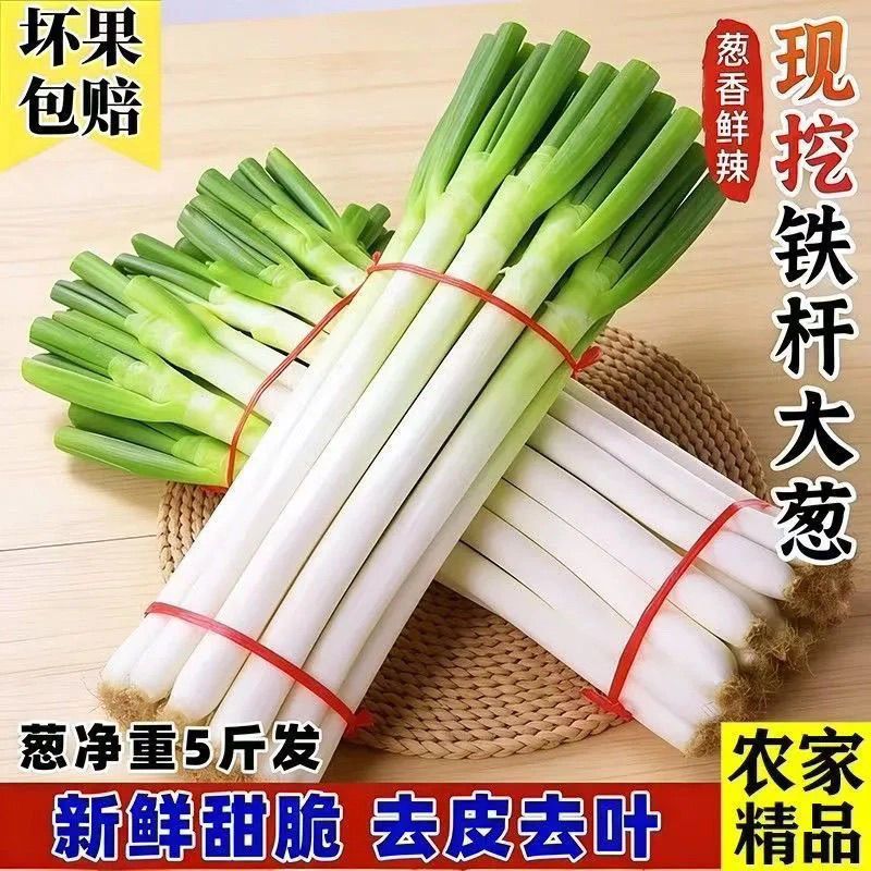 【太便宜了】山东大葱新鲜蔬菜甜辣长白农家现挖香葱去皮铁杆大葱