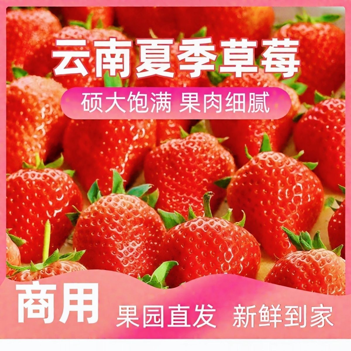 云南四季双流草莓10斤批发价蛋糕烘焙糖葫芦果酱直供酸草莓一整箱