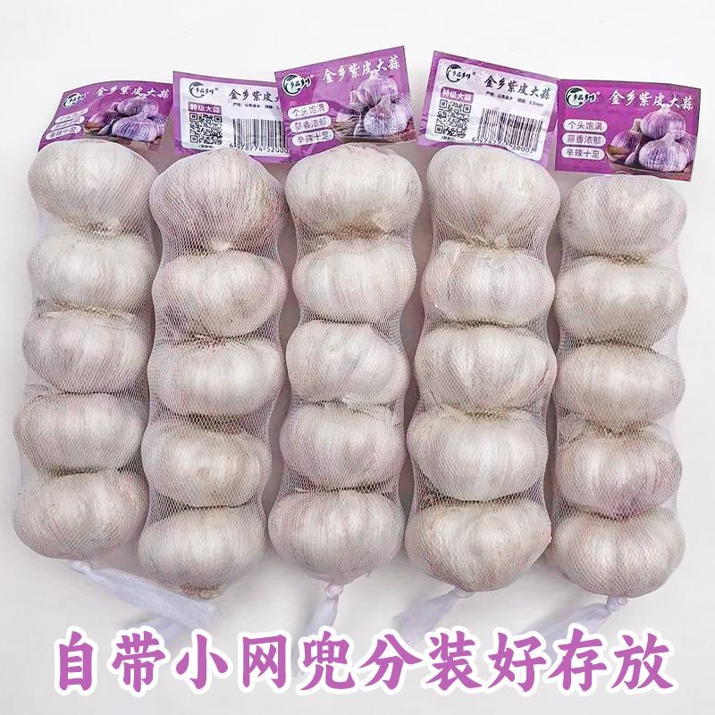 【金乡蒜王】特大蒜王紫白皮大蒜头优质干蒜特大正宗山东大蒜头