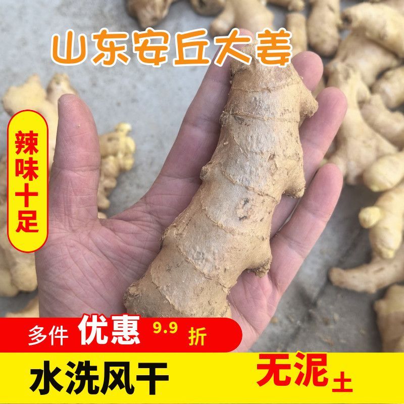 5斤正宗山东大生姜餐饮商用老姜蔬菜水洗风干新鲜生姜可晒干批发