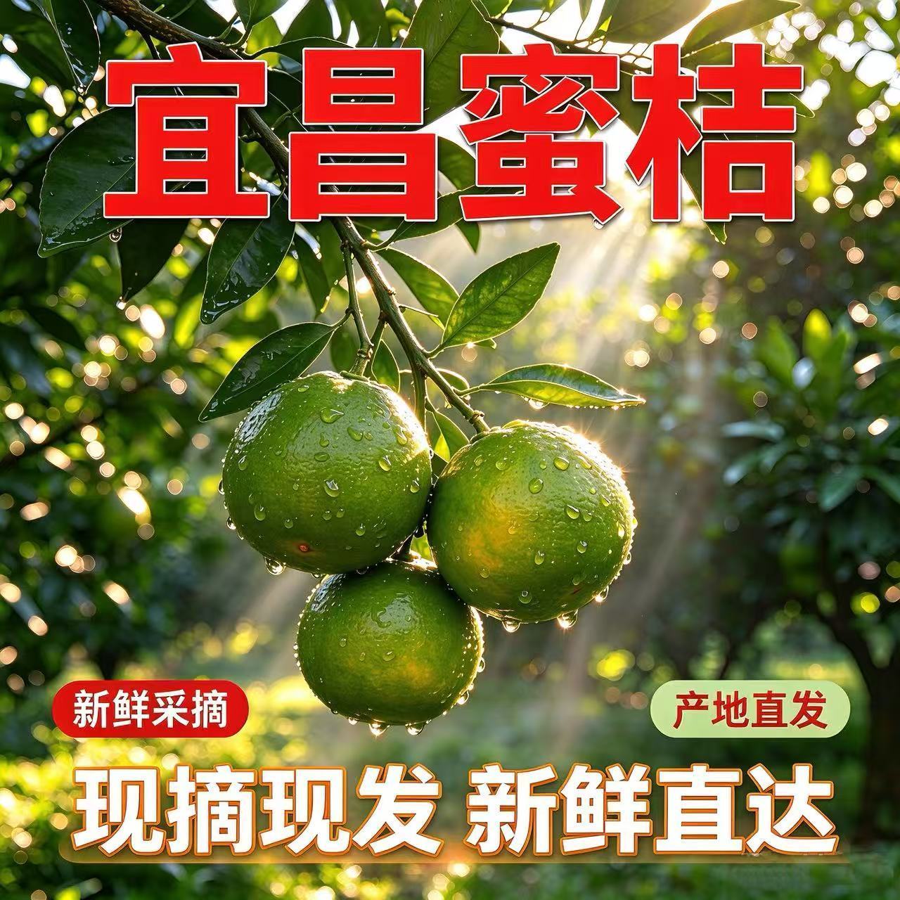 宜昌蜜桔当季新鲜青皮橘子无籽酸甜蜜橘薄皮桔子孕妇水果柑橘批发