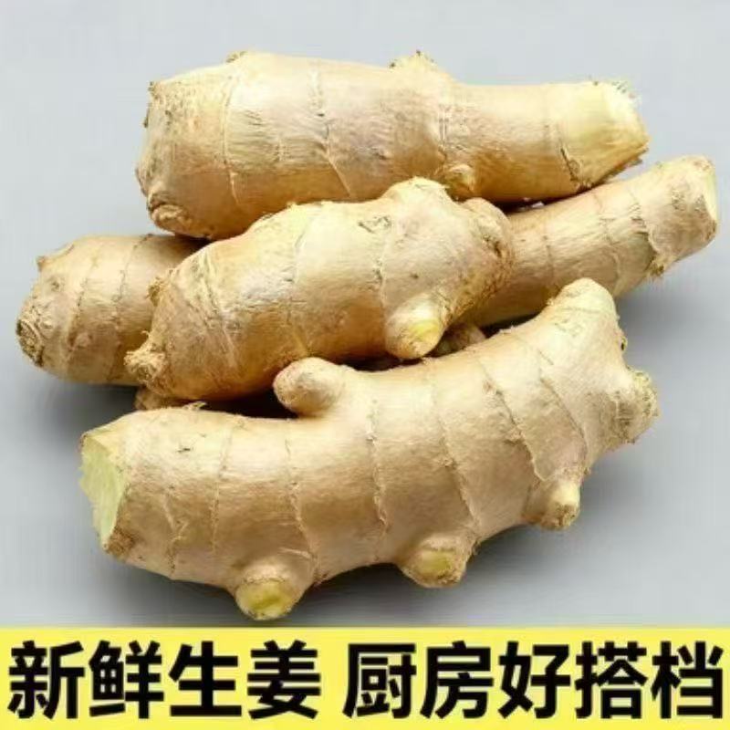 正宗山东干姜黄姜大姜风老姜无泥单指生姜大姜大块批发新鲜月子
