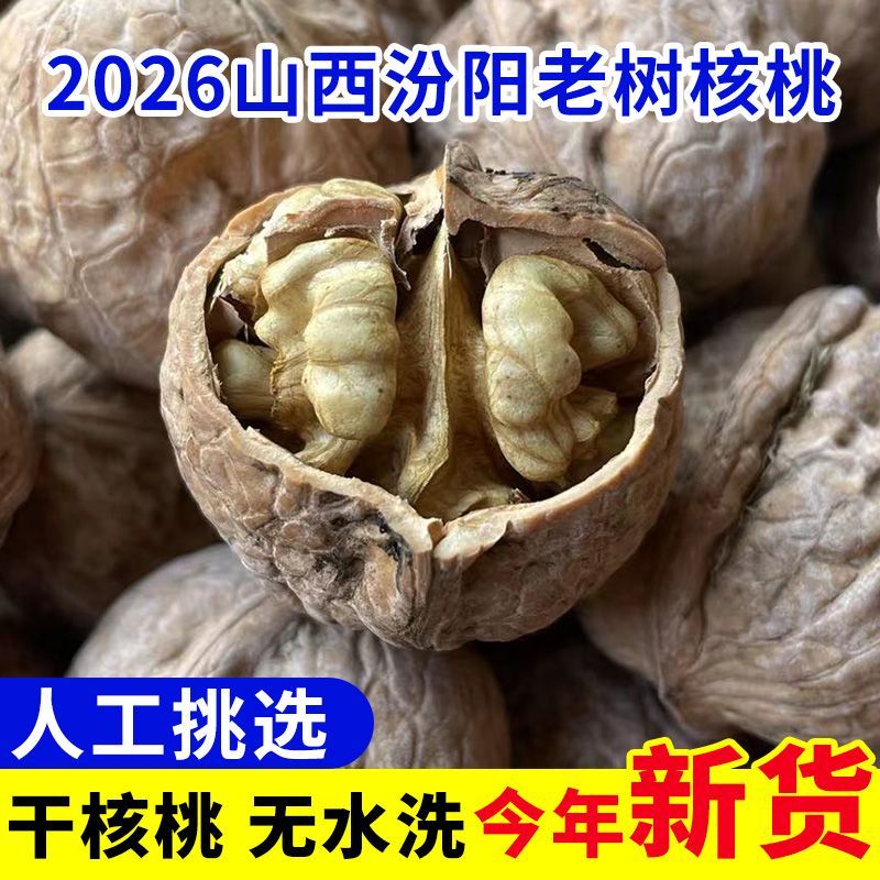 【2026新货】山西汾阳老树核桃非薄皮干核桃无水洗原色坚果零食