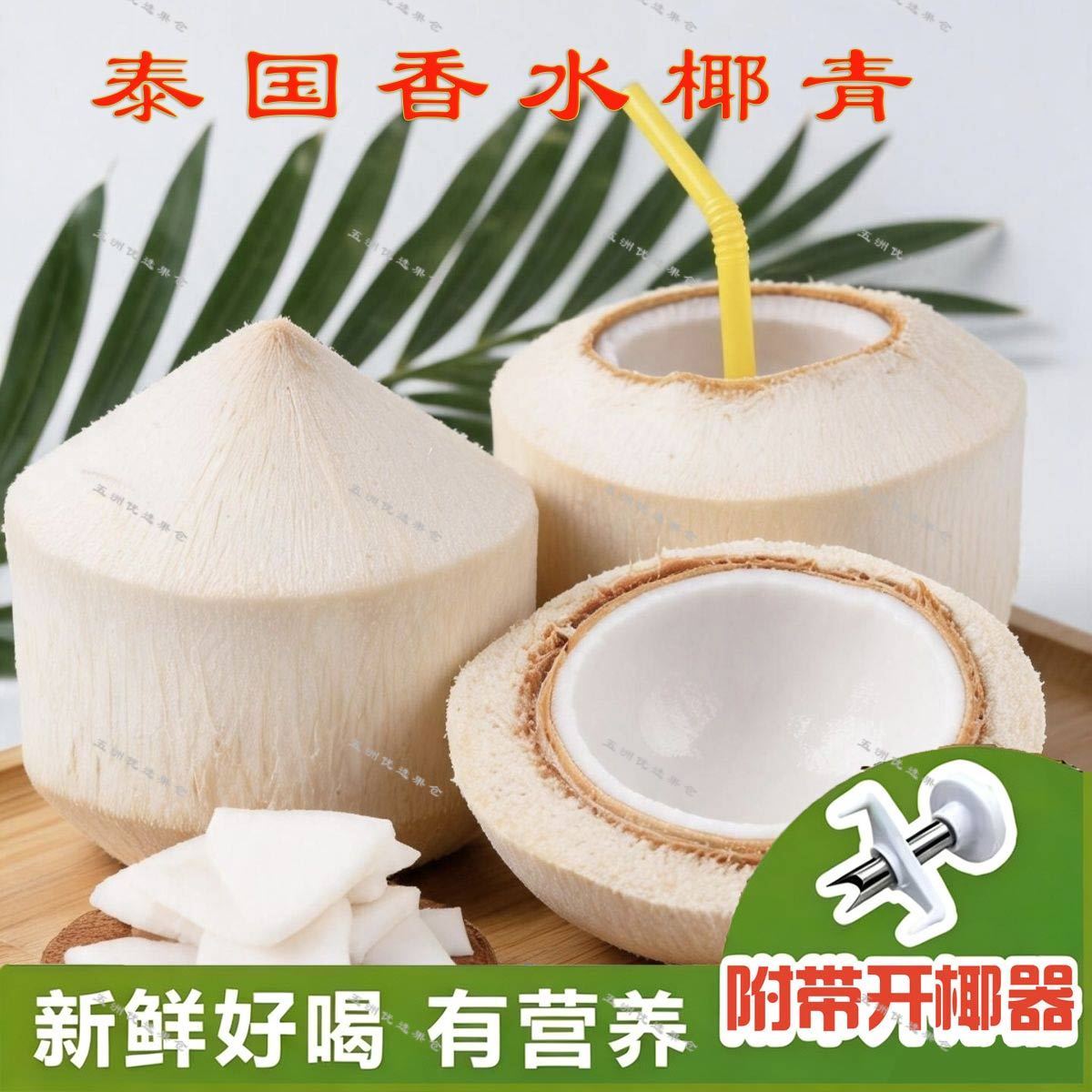 【批发】正宗泰国进口椰青新鲜香水椰子大果孕妇水果包开椰器吸管