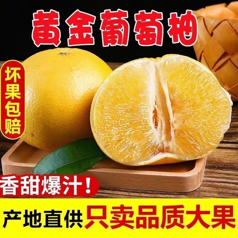 【彩箱发货】黄金葡萄柚福建平和柚子新鲜水果甜非红心西柚应季