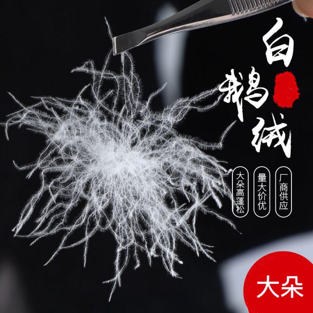 散装羽绒95白鹅绒大朵98白鹅吊绒原料白鸭绒羽绒被羽绒服填充天花
