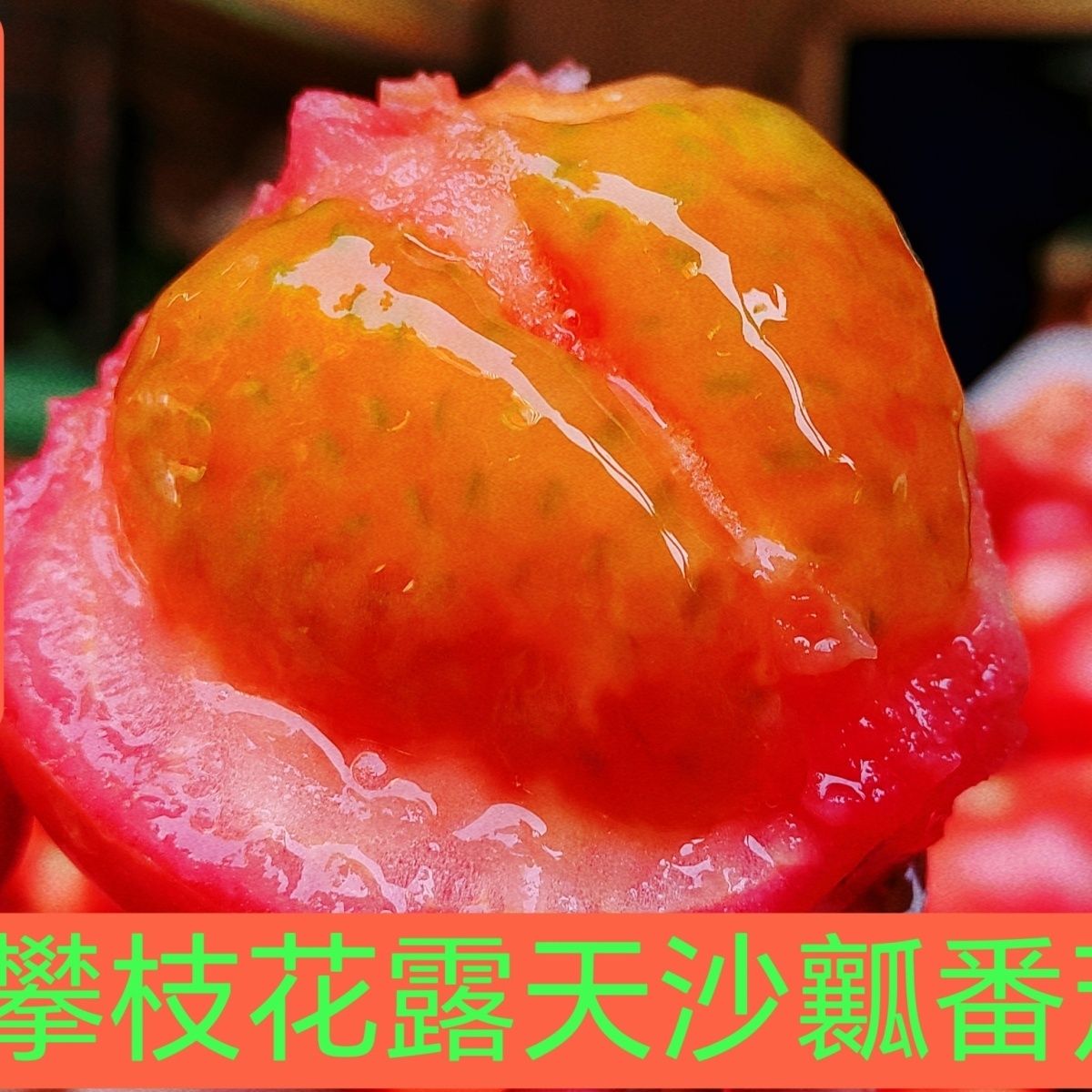 正宗攀枝花露天沙瓤西红柿自然蔬菜番茄现摘新鲜水果柿子整箱包邮
