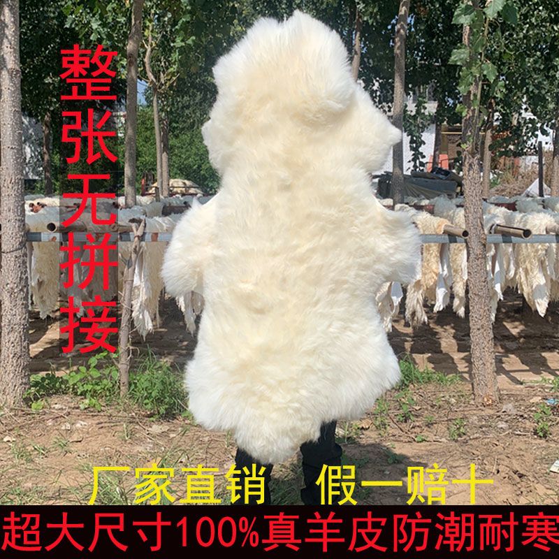 整张羊皮毛垫纯皮毛防潮坐垫卧室飘窗床边褥子垫皮毛一体椅子坐垫